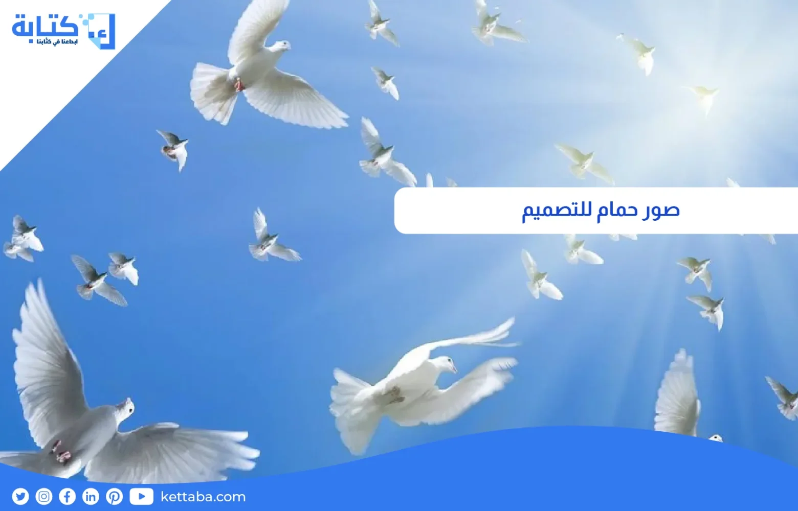 صور حمام للتصميم