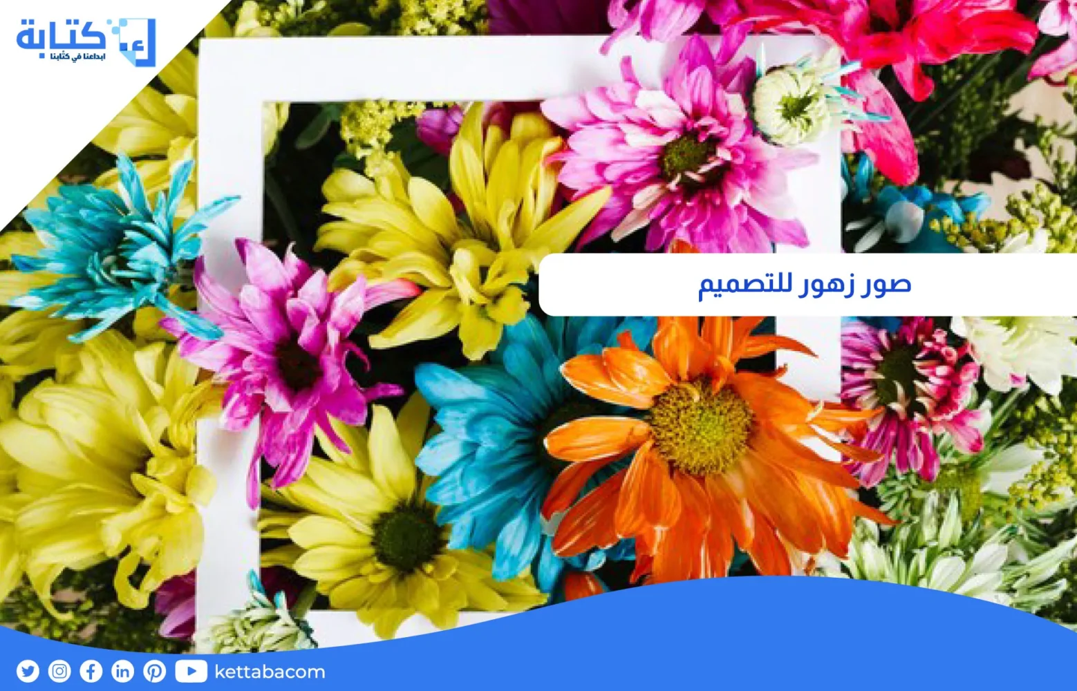 صور زهور للتصميم